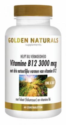 GOLDEN NATURALS VITAMINE B12 3000MCG ZUIGTABLET 60ST